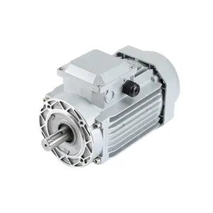 Aluminium gehäuse motoren der YE2-Serie in Übereinstimmung mit dem lE3-Standard für Kunden Schnecken getriebe reduzierer
