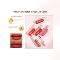 Rouge à lèvres liquide mat velouté longue durée, formule minérale non transférable, imperméable, légère, vegan, haute pigmentation