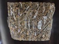 Cannelle de Ceylan 1kg Chine