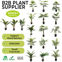 Palmiers artificiels en plastique écologiques et durables de 60 cm, 80 cm, 90 cm, 100 cm, fabriqués en Chine, pour la décoration intérieure et extérieure, petite plante décorative