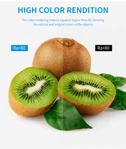 Светодиодные лампы T8, 8 футов, 2,4 м, 240 см - Product Image 4