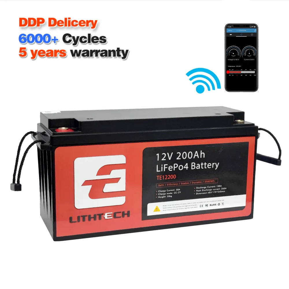 8000 Cyclus 12V 24V 48V 60V Lifepo4 Batterij Packs 12V 24V 100ah 200ah Bms Zonne-Lithium Ion Batterijen Met Verwarming En Bluetooth