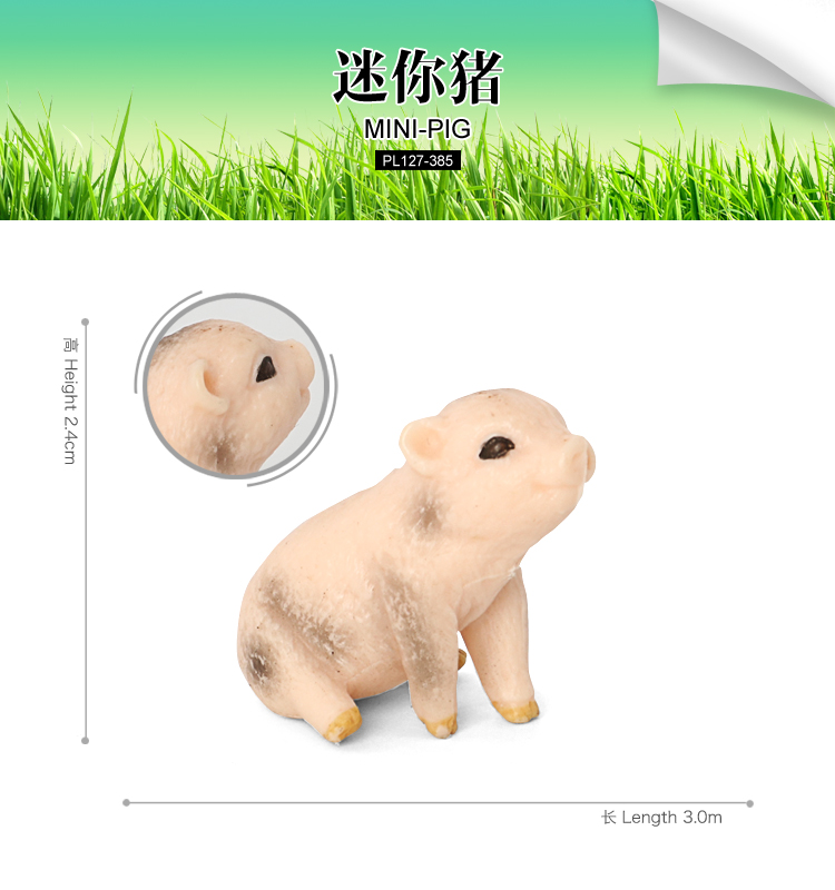 385 Mini-cochon