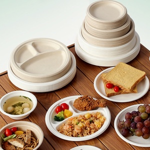 Özel baskılı 6 9 10 12 inç çevre dostu şeker kamışı Bagasse Bio Degradable Bagasse plakaları tek kullanımlık kağıt tabaklar yemek tabakları