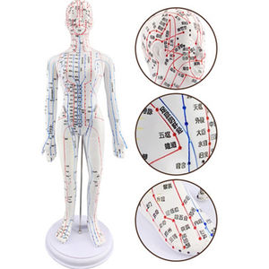 53 सेमी मानव शरीर एक्यूपंक्चर मॉडल, चीनी दवा शिक्षण एक्यूपॉइंट मेनेक्विन दबाव बिंदु एक्यूपंक्चर मॉडल - Product Image 4