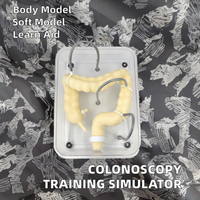 Organes coliques de simulation souple pour la formation en coloscopie, conformes CE/ISO