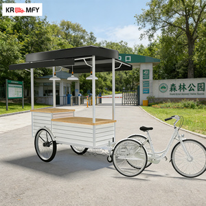 Chariot mobile de vente ambulante de gelato avec roues à vendre, pour la vente au détail d'aliments, les hôtels, les boulangeries, les crèmeries - Product Image 4