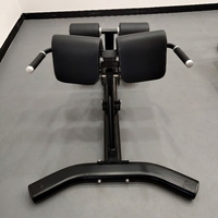 Chaise romaine de banc d'exercice de force de machine d'extension de dos de gymnase professionnel