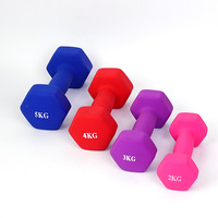 Haltères hexagonaux en fonte revêtue pour femmes, équipement de fitness à domicile, antidérapants, légers, lisses, pour yoga et musculation des bras
