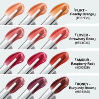Gloss à lèvres teinté hydratant en gros, maquillage de luxe longue tenue, hydratant, végétalien, minéral, marque privée