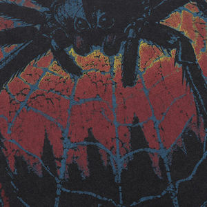 <span class=keywords><strong>T</strong></span>-shirt nera da uomo Vintage lavata con ragnatela spettrale e stampa grafica Valley ampia in cotone stile retrò <span class=keywords><strong>t</strong></span>-shirt - Product Image 5