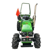 Tractor Agrícola Compacto de 14HP, Mini Tractor Pequeño para Agricultura, Pequeno Trattorino Tagliaerba