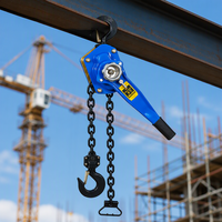 Palans à chaîne manuels 1,5T 5T 10T en acier allié G80, blocs à levier à cliquet résistants à l'usure pour la levée sur chantier et les grues de construction