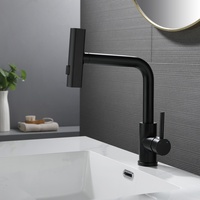 Keran Dapur Hitam Matte Model Tarik Turun, Lengkung Tinggi 90 Derajat, Corong Bentuk L, Kepala Semprot Persegi Panjang, Tuas Samping, Pemasangan di Dek Satu Lubang
