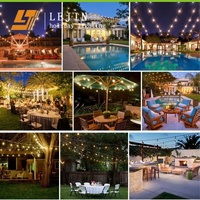 Vente flash : Guirlande lumineuse intelligente LED pour extérieur, idéale pour la décoration de fêtes et de jardins