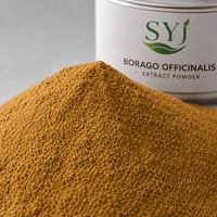 Poudre d'extrait de Bourrache 4:1, Extrait Herbal Naturel de Borago Officinalis de Qualité Alimentaire pour l'Utilisation dans les Aliments et les Boissons
