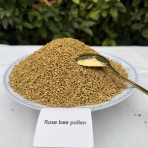 Polen de Abeja Natural Silvestre al por Mayor, Materia Prima Pura, Polen de Miel Fresco de Alta Calidad, Nuevo Polen de Abeja Fresco - Product Image 4