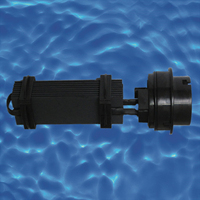 Ioneur d'eau salée pour désinfection, 50g/10g/20g/30g/50g, pour piscine