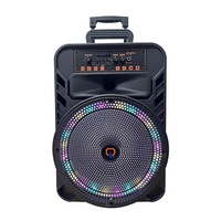 Altavoces Portátiles Activos de Alta Potencia de 12 Pulgadas y 20 W para Fiestas al Aire Libre, Luces LED RGB, Control Remoto, Micrófono Incorporado 5.3, Cine en Casa/Karaoke, Computadora