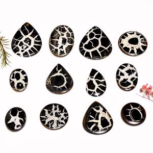 อัญมณีหลวมทรงหลังเบี้ยธรรมชาติแบบเรียบสำหรับผนังพลอยอัญมณีหลวม - Product Image 5