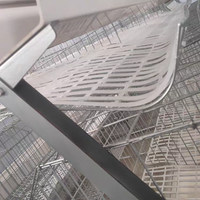 Plancher en maille plastique pour l'élevage des poulets, coussinets en plastique pour les pattes des poulets, plancher en maille plastique pour les cages à poules pondeuses