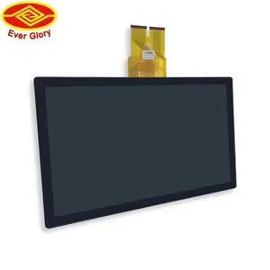 Ever Glory OEM Manufactory IP65 Waterproof 21.5Inch G+G RGB LVDS Capacitive Touch Screen LCD Module For Android Industrial Pc