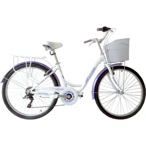 Bicicleta de ciudad de 24 pulgadas para hombre y mujer, bici de una sola velocidad, venta al por mayor, gran oferta, Europa/CE, 2021