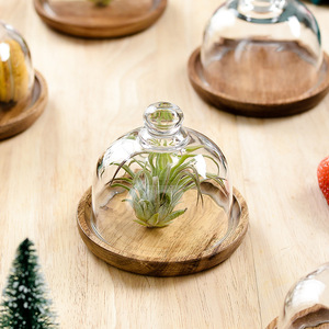 Support à gâteau multifonctionnel <span class=keywords><strong>mini</strong></span> 4 pouces avec cloche en verre, plateau de service et assiette à gâteau avec base en bois pour la maison et les hôtels - Product Image 6