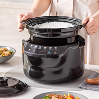 Cuiseur à riz intelligent à micro-pression multifonctionnel 3L personnalisé de marque avec pot intérieur en céramique, écran tactile couleur, minuterie de retard de 24 heures