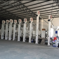 Usine de traitement du riz brun commerciale 30-40T/J, machines de décorticage intégrées pour riz étuvé, moteur, rendement élevé, longue durée de vie