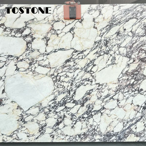 Tostone Offerta Speciale Lastra di Marmo Naturale Calacatta Viola 20MM <span class=keywords><strong>per</strong></span> Installazione su Cortili, Giardini, Vialetti e Cucine in Stile Vintage - Product Image 1