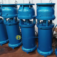 Équipement de fontaine cascade pare-balles QSP Pompe de jardin submersible multi-étages à moteur AC 380V-660V 2-10HP en fonte/SS304 3