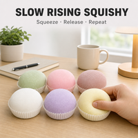 Jouet Squishy Mochi Neige à Remontée Lente, Dôme Rond Pastel Imprimé, Mignon, Anti-Stress, Décoration de Bureau, Cadeau