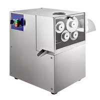 Autres machines pour fruits et légumes, machine à jus de restaurant, presse-canne à sucre automatique, machine à jus de fruits