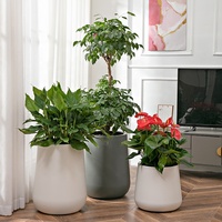 Pot Tanaman Plastik Otomatis Siram Sendiri Gaya Nordic Desain Baru 2023 untuk Rumah dan Taman, Pot Bunga, Pot Bonsai, Warna Putih/Abu-abu Brice
