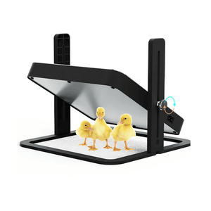 Plaque chauffante <span class=keywords><strong>pour</strong></span> poussins QA 20, capacité de sécurité et de maintien au chaud, couveuse <span class=keywords><strong>pour</strong></span> animaux de compagnie, <span class=keywords><strong>chauffage</strong></span> <span class=keywords><strong>pour</strong></span> poussins, équipement avicole <span class=keywords><strong>pour</strong></span> maison chaude - Product Image 1
