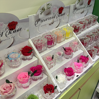 Großhandel Einzelhandel E-Commerce Valentinstagsgeschenke Ewige Blumen Geschenke Kleine Blumendekoration Mini Konservierte Rose unter Glaskuppel