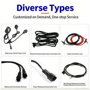 Cable de Tierra Personalizado 2SQ 14AWG Amarillo Verde con Terminal GND y Conector M12 Impermeable, Producción de Fábrica OEM ODM - Product Image 5