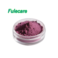 Poudre de jus de canneberge lyophilisée soluble dans l'eau naturelle pure 100%