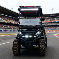 Voiturette de golf utilitaire 4 places |   Essence/Électrique pour utilisation en station balnéaire et dans les domaines