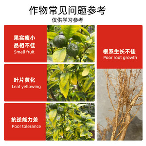 Engrais hydrosoluble à base de huit éléments essentiels Huanghua Yisaqing 200g, usage général pour les arbres fruitiers - Product Image 3