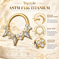 Anneau de piercing personnalisable en titane ASTM F136 G23 avec fermoir articulé, motif étoile et zircone cubique mélangée, pour septum, nez, hélix et tragus