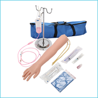 Modelo de entrenamiento de punción de vena del brazo, modelo de entrenamiento médico modelo de entrenamiento de brazo de recolección de sangre médica