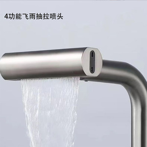 Cabezal de Ducha de Repuesto con Cuatro Funciones, Color Gris Cepillado, Efecto Cascada, para Uso Doméstico - Product Image 1