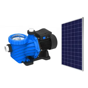 High Quality 48V 550W High Pressure DCLP Series Brushless Swimming Pool Solar Water Pump