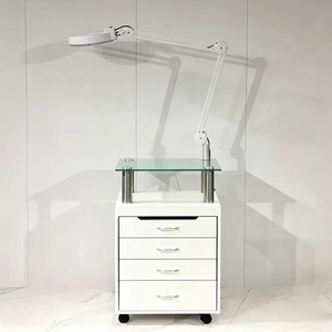 Wholesale Salon Shop Equipment Carts Manicure Chair Beauty Salon <b>Trolley</b> Cart with Folding Lamp Salon Furniture Modern - Product Image 2
