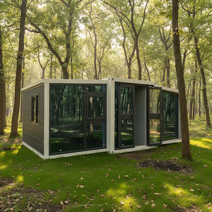 Contenedor Expandible de 40 Pies para Almacenamiento Ecológico, Personalizado de Fábrica, <span class=keywords><strong>Precio</strong></span> Razonable, Resistente, Fácil Instalación, Móvil - Product Image 1