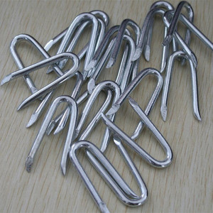 Clous en U galvanisés de 2,6 mm pour fixation de fil barbelé 1 pouce 25 kg/carton - Product Image 5