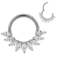 Top vente GZN ASTM F136 titane CZ Segment articulé nez anneau bijoux Piercings Clicker cerceau anneau boucle d'oreille corps Piercing bijoux