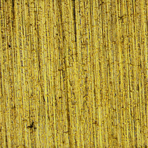 BestScope BLM5-1200Aデジタルビデオ冶金顕微鏡材料検査、品質管理、精密測定 - Product Image 6